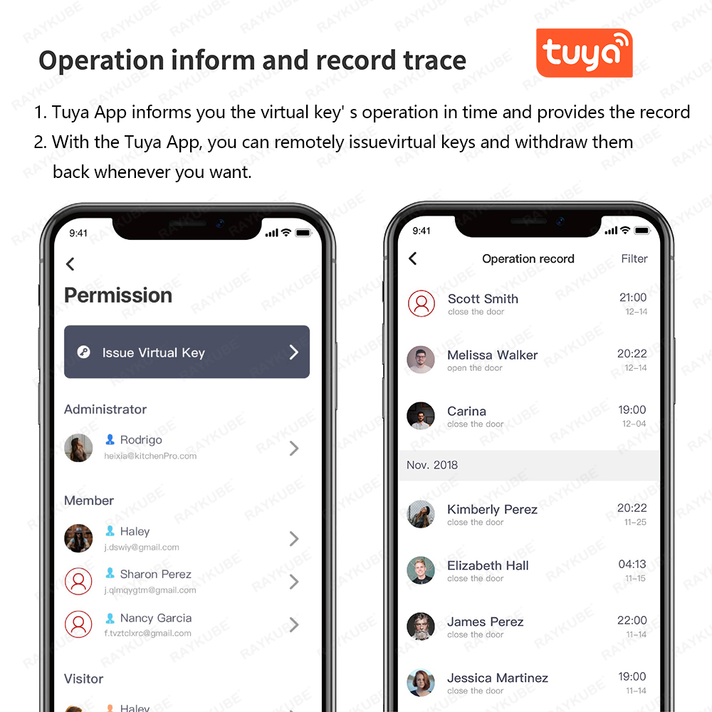 RAYKUBE A1 Pro Tuya BEL Smart  - đánh giá và giá Smart Door Lock Wifi